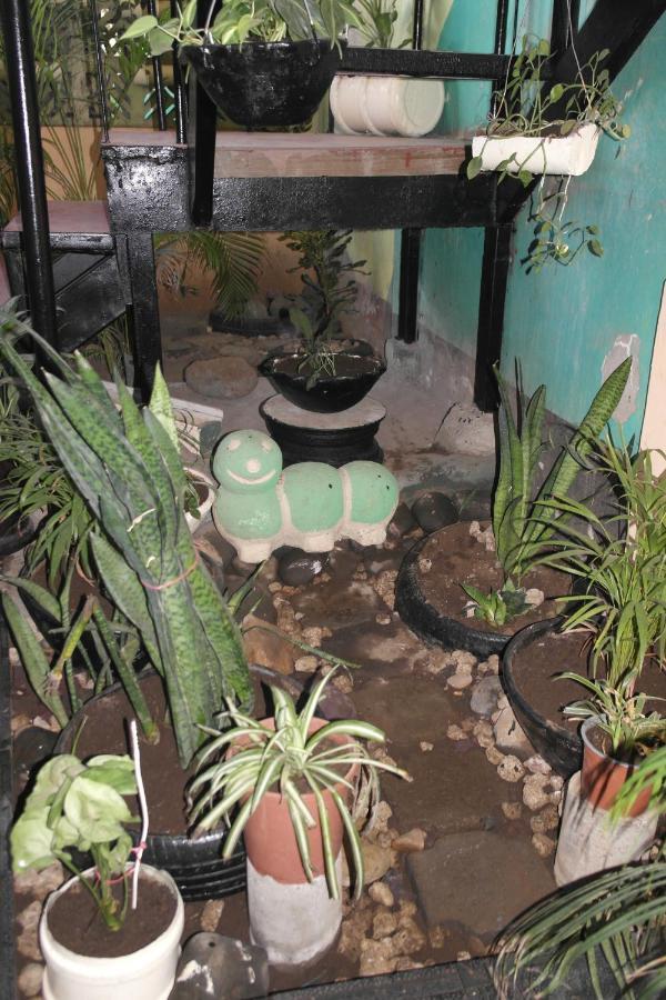 Hostal Nicaragua Guest House Managua Luaran gambar